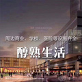 鿴ß
