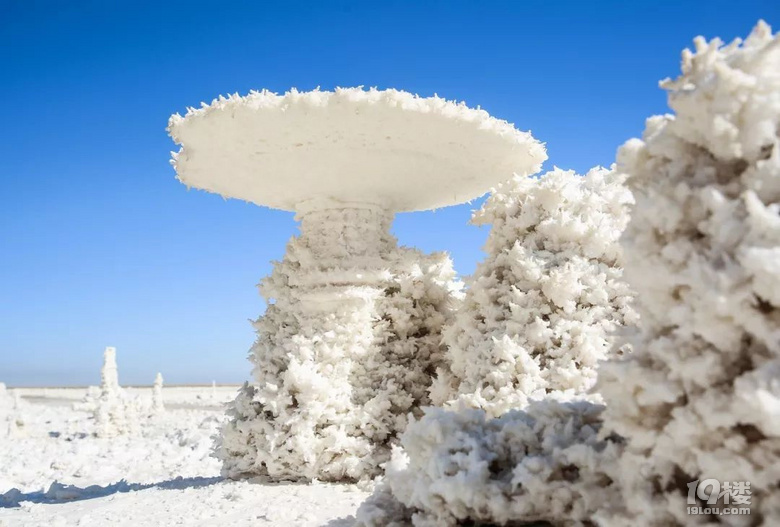 雪域可可西里●深入無人區(qū)，探索神奇秘境，做真正的荒野游俠！