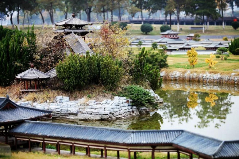 西安絕美小眾地，一入秋就刷爆全網(wǎng)，浪漫成了古長(zhǎng)安