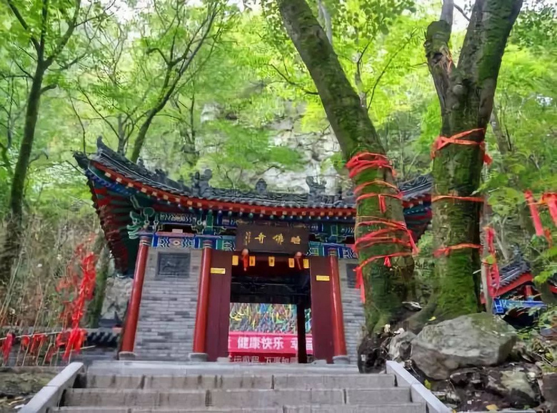 西安絕美小眾地，一入秋就刷爆全網(wǎng)，浪漫成了古長(zhǎng)安