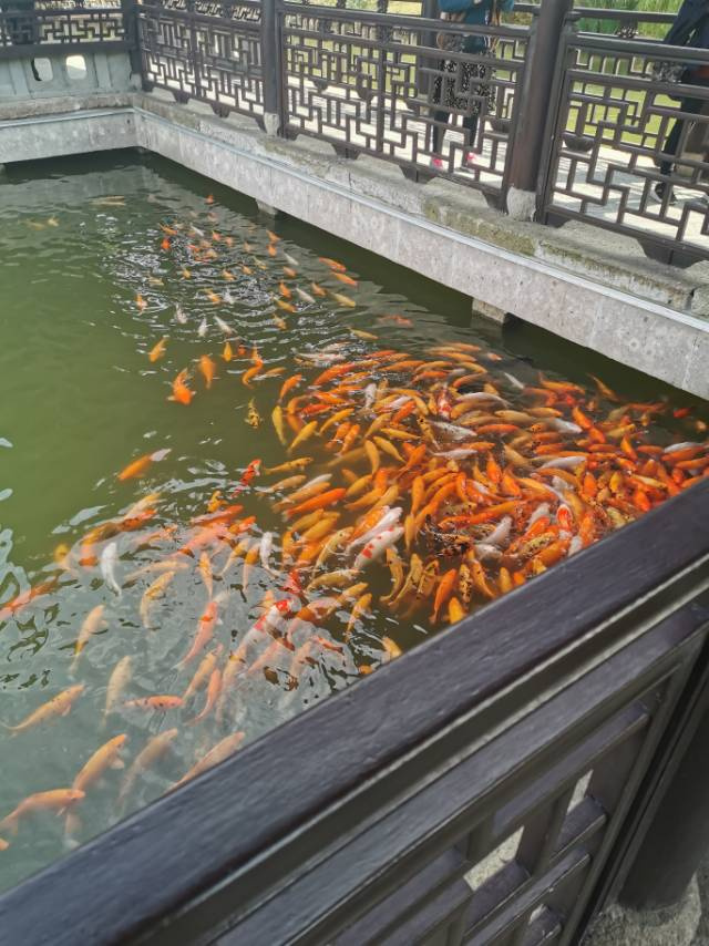 oŶŶŶŶŶŶŶŶŶ