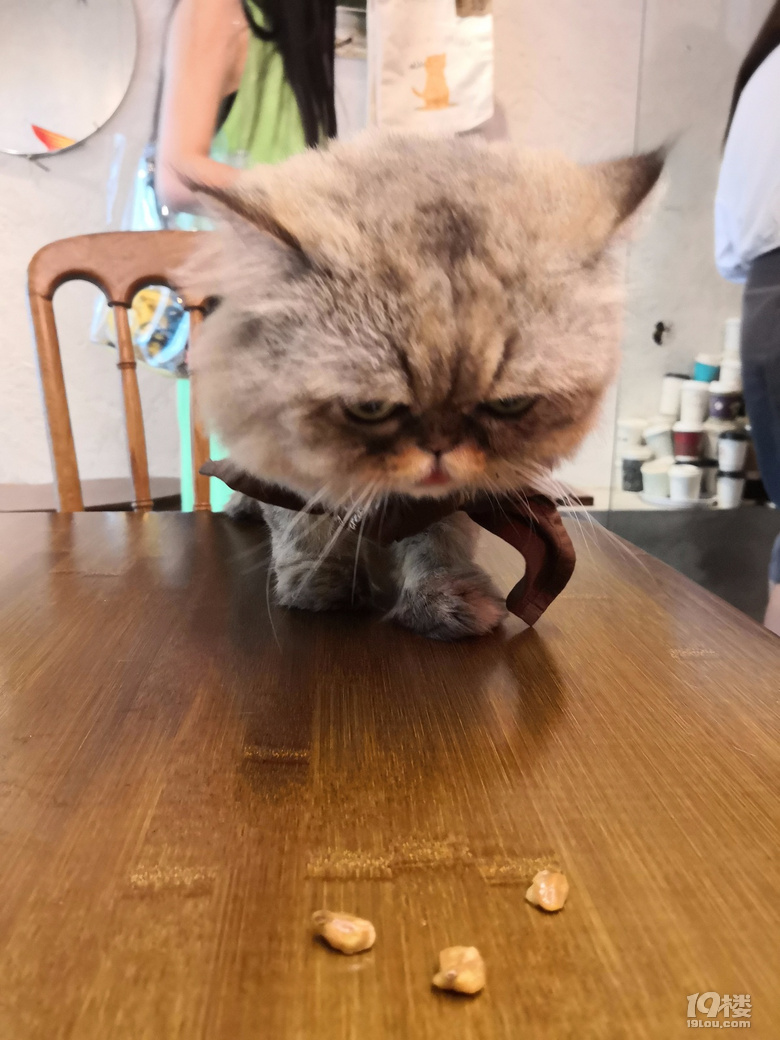 ǺJ