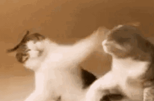 һԞ˺rȥo(sh)εĵط