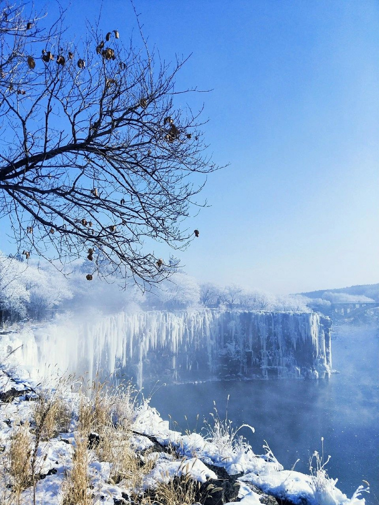 哈尔滨下雪上热搜全中国没有哪个地方能比东北更懂冬天