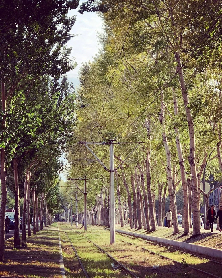 謝邀，人在東北，剛成為街溜子
