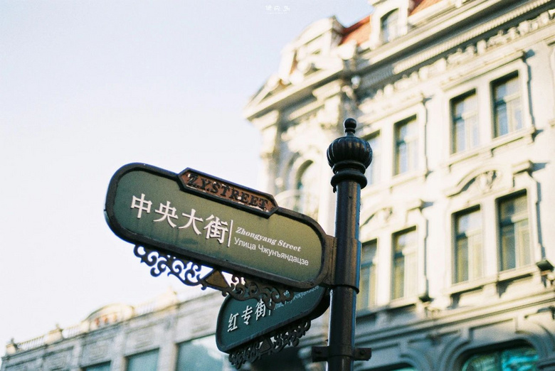謝邀，人在東北，剛成為街溜子