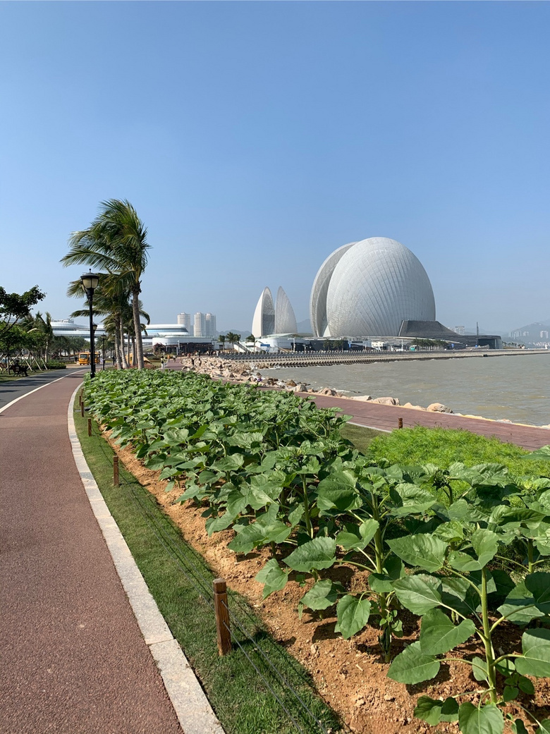 借著看展之名，去了壁紙中的海島