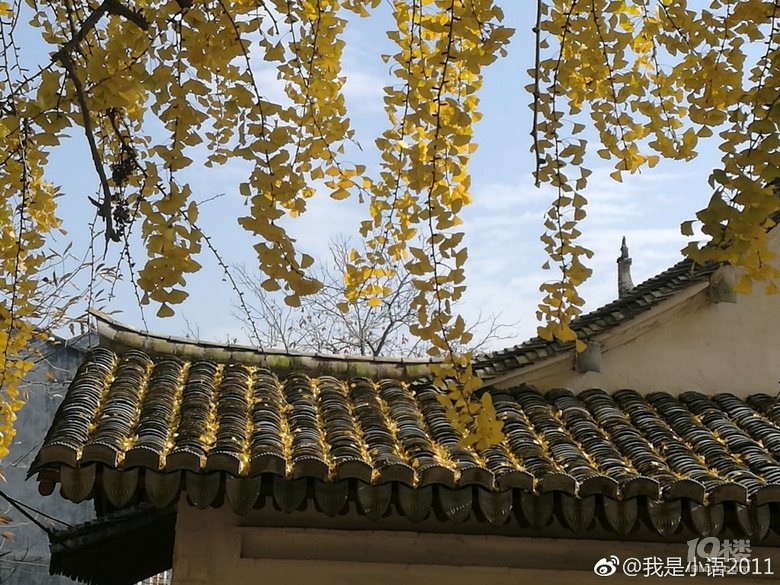 چͳ