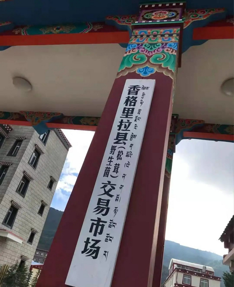 去香格里拉散步，做個(gè)“無事小神仙”！
