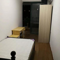鿴ß