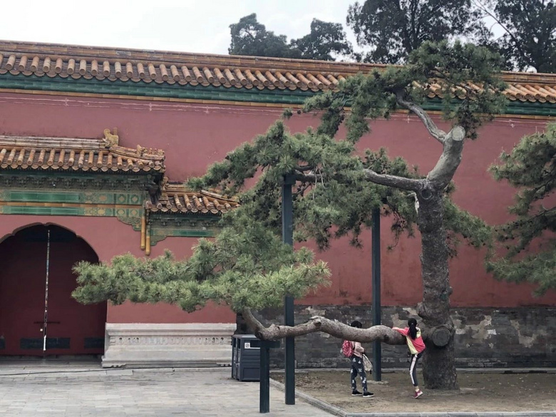 撇開故宮和長城，娃最感興趣的竟然是這？！