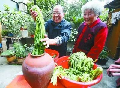 杭州冬腌菜怎么樣才好吃！不是開(kāi)玩笑，汗腳男人踩踩才最鮮
