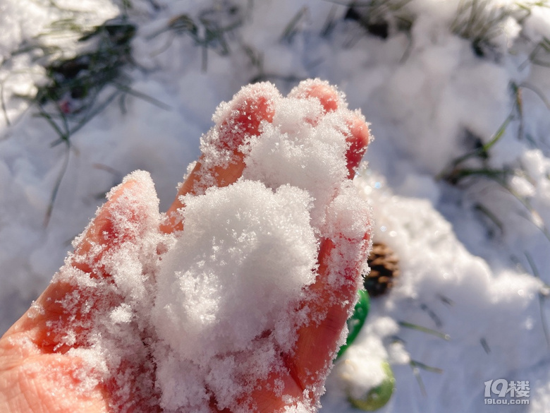 旅行遇到了今年的第一場(chǎng)雪