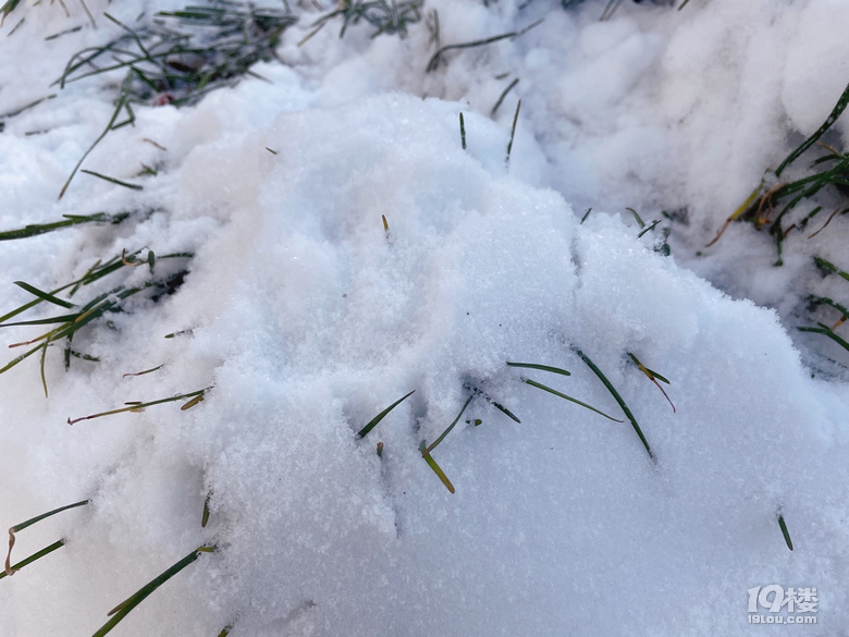 旅行遇到了今年的第一場(chǎng)雪