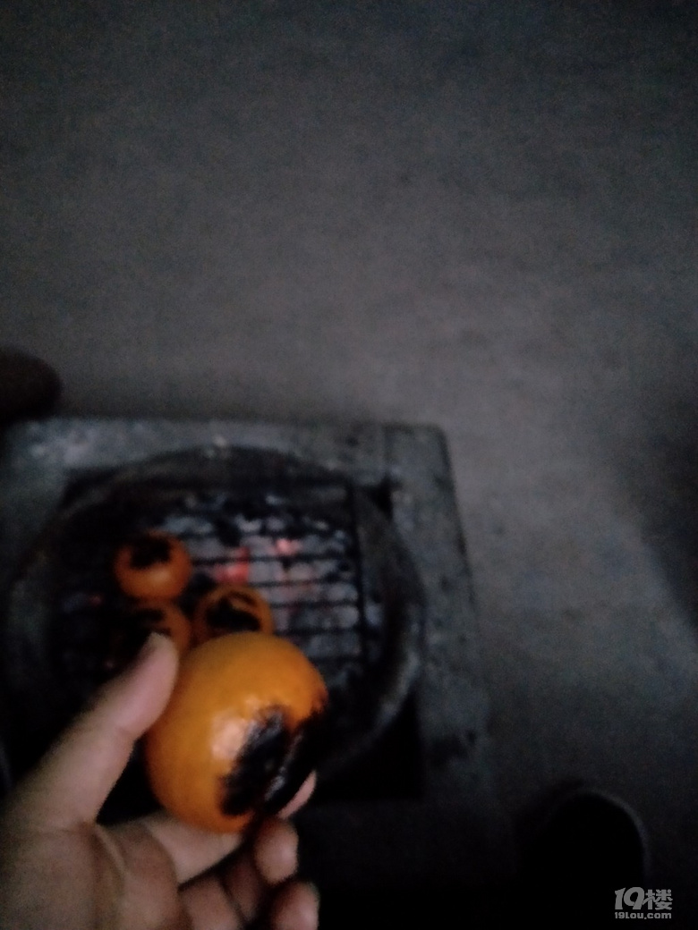 СYĿҹ҂