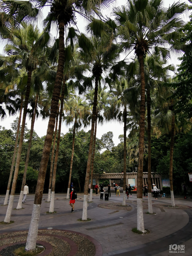 打卡海口人民公園