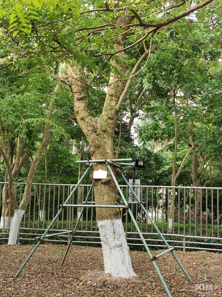 打卡海口人民公園