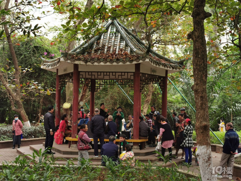 打卡海口人民公園