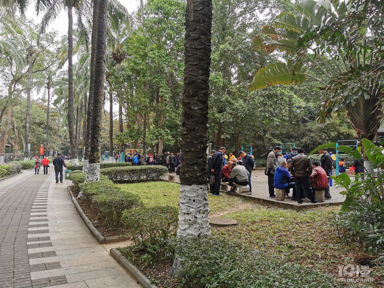打卡海口人民公園