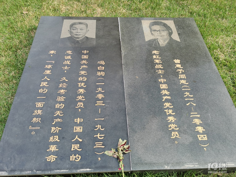 打卡�？谌嗣窆珗@