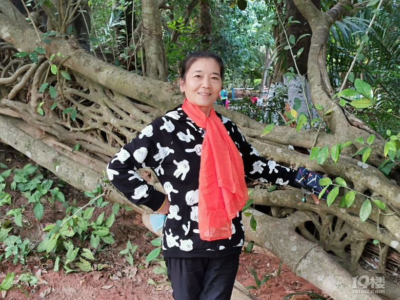 打卡海口人民公園