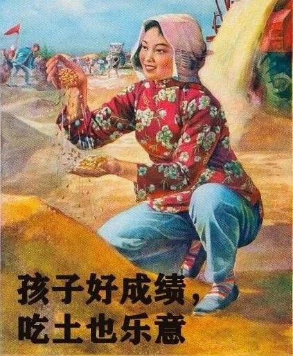中年媽媽期末考試生存圖鑒，看完笑出淚，哈哈哈哈
