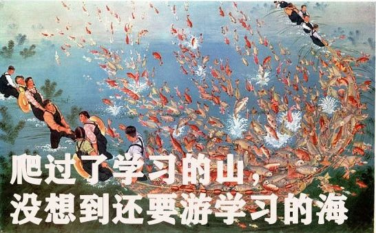 中年媽媽期末考試生存圖鑒，看完笑出淚，哈哈哈哈