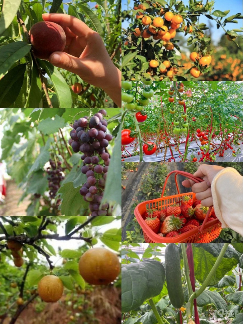 ݈F(tun)40(g)ش֮أhղ