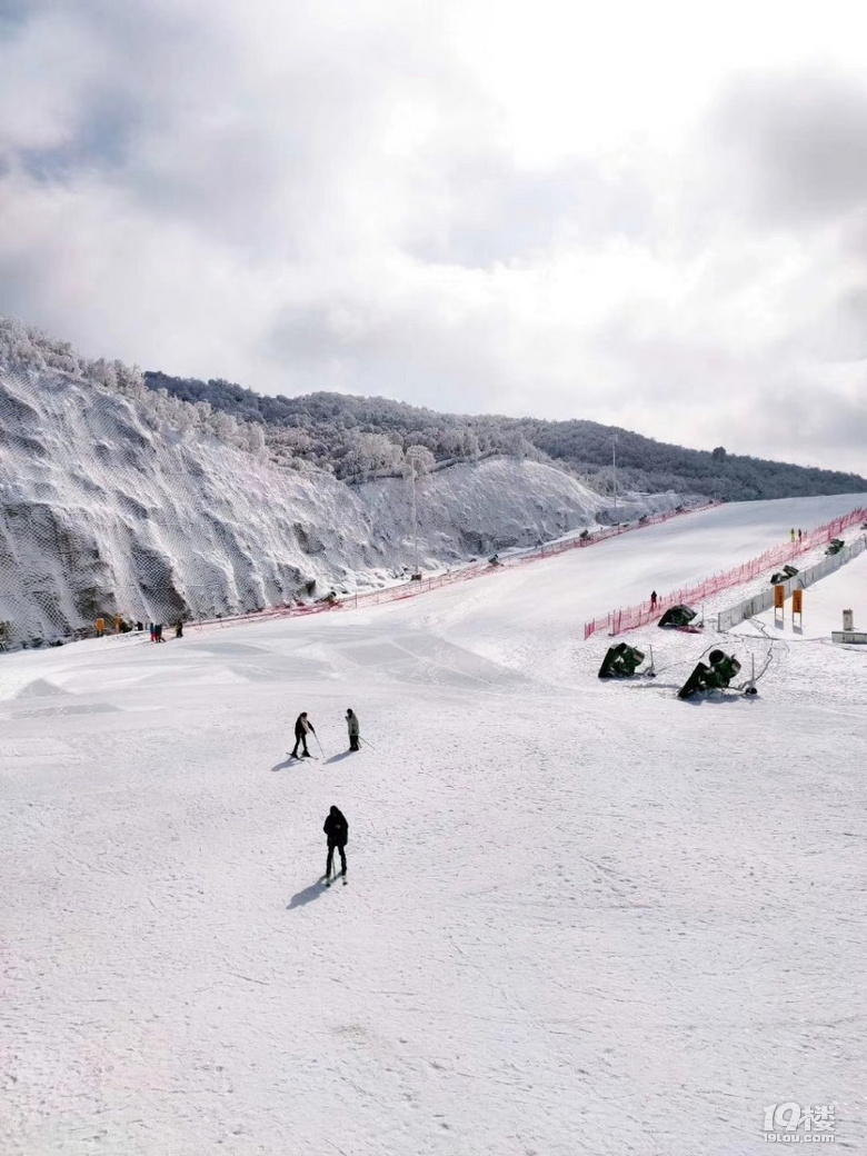 ݈F(tun)40(g)ش֮أhղ