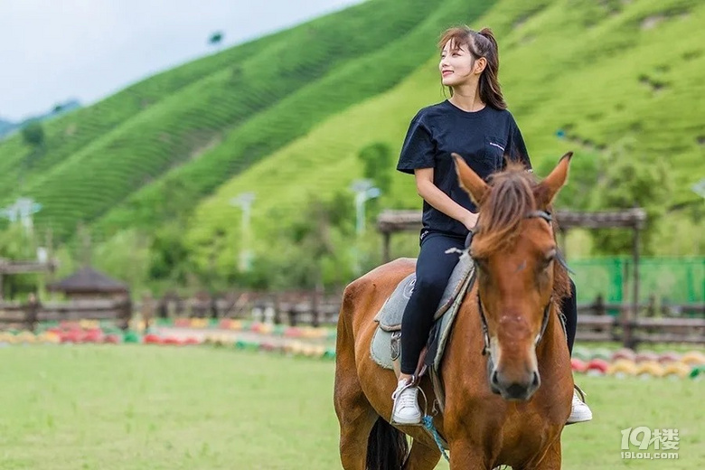 ݈F(tun)40(g)ش֮hղ