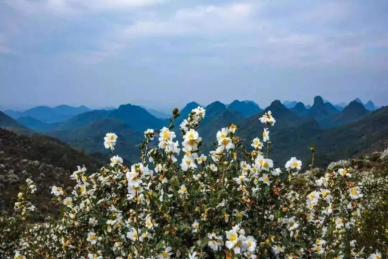 被列入中國傳統(tǒng)村落名錄，這是一個“消失”的小山村！