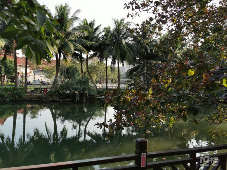 打卡�？谖骞簟⒑Ｈ鸸示�