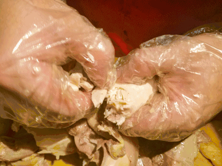 看撒貝寧新綜藝，意外挖到一個迷人的冬季寶藏目的地