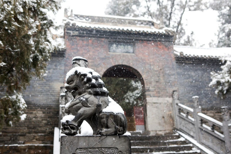 中原城市都這么有文化底蘊(yùn)嗎？洛陽太美了