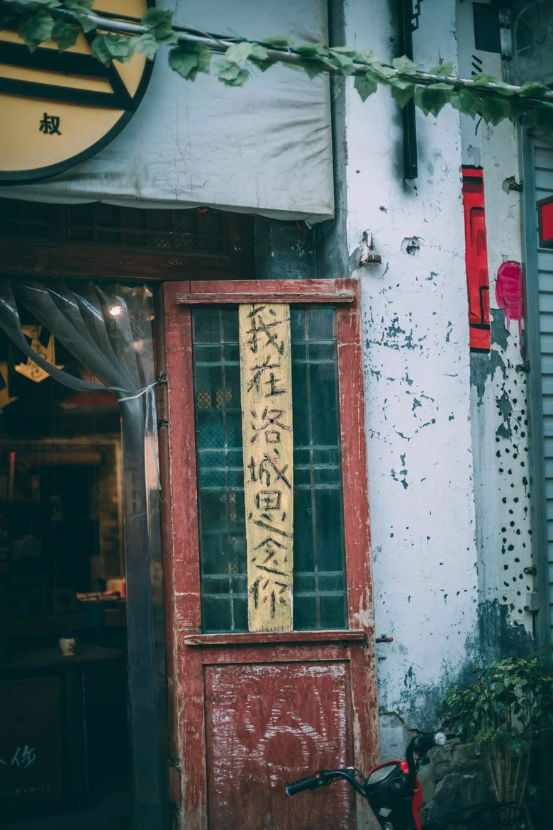 中原城市都這么有文化底蘊(yùn)嗎？洛陽太美了