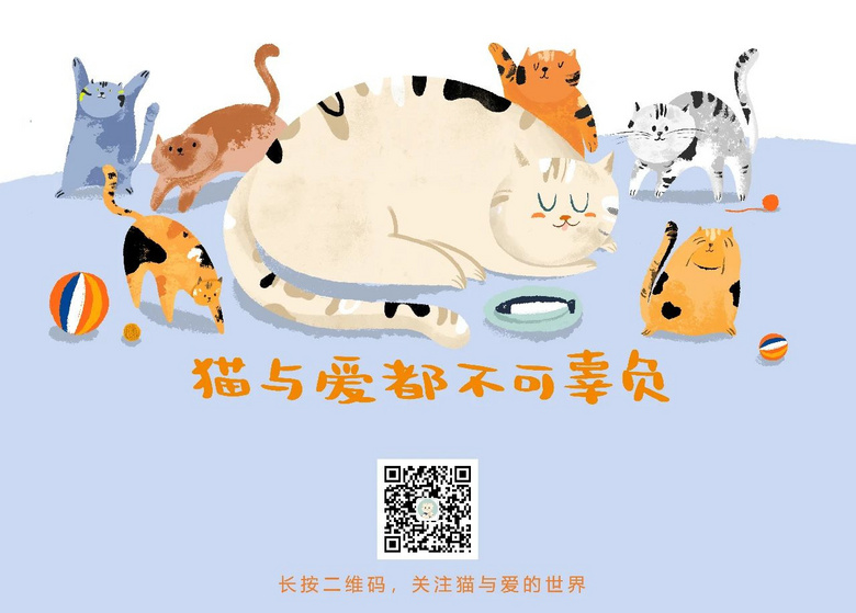 淋浴花灑長(zhǎng)貓算什么？我家貓都在浴缸劃船了！