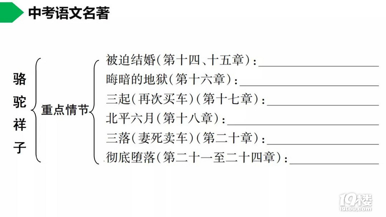 ӡ(do)x+˼S(do)D +c(din)ϼϣ