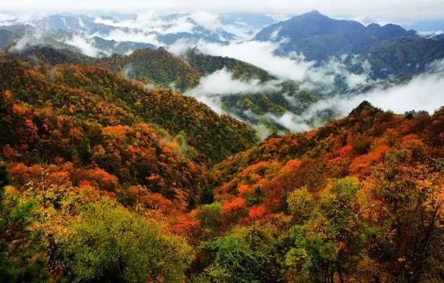 美翻了！地理課本上那個(gè)秦嶺竟然如此驚艷