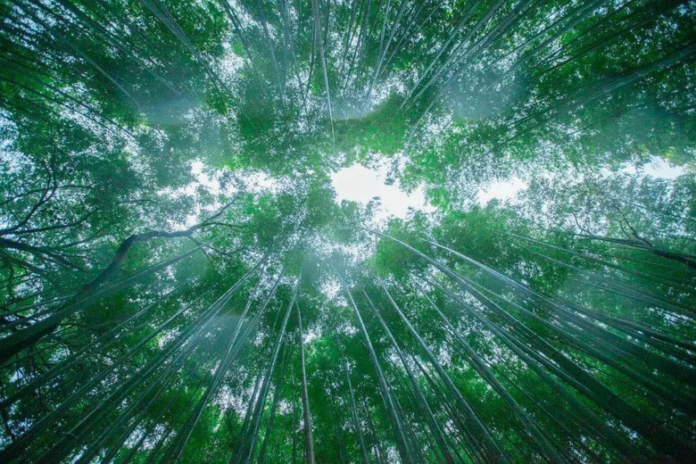 浙北小縣城就有一條絕美自駕路線，迷倒無(wú)數(shù)老司機(jī)