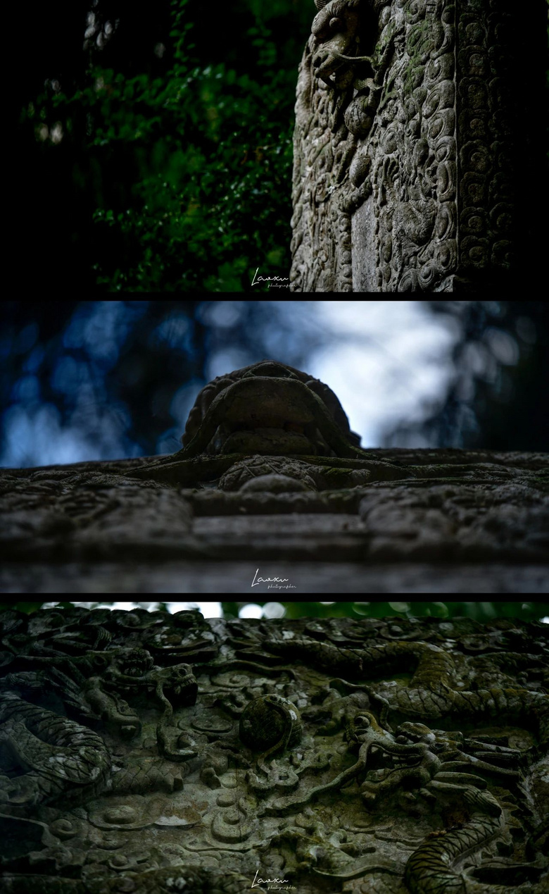 梅花盛而知春至，國(guó)清寺千年隋梅開了，又被她的美驚艷了