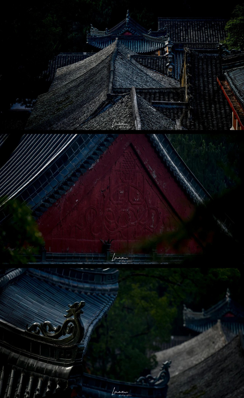 梅花盛而知春至，國(guó)清寺千年隋梅開了，又被她的美驚艷了