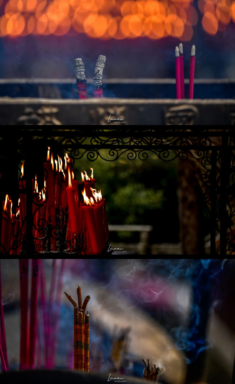 梅花盛而知春至，國(guó)清寺千年隋梅開了，又被她的美驚艷了