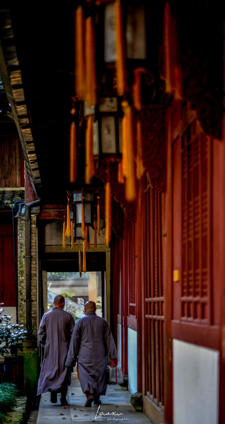 梅花盛而知春至，國(guó)清寺千年隋梅開了，又被她的美驚艷了