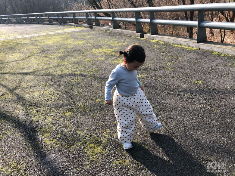 ̤ȥ+zȥޏ