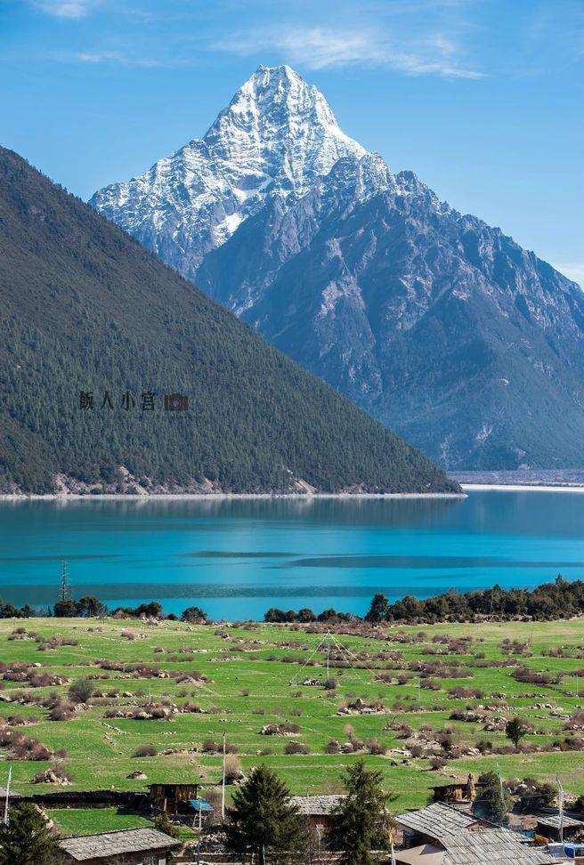 海拔落差7千米！這個(gè)雨林與雪山共存的小城，正被桃花席卷……