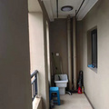 鿴ß