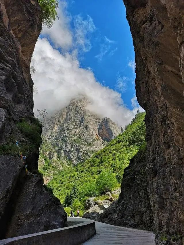 @15طһҲҪȥ