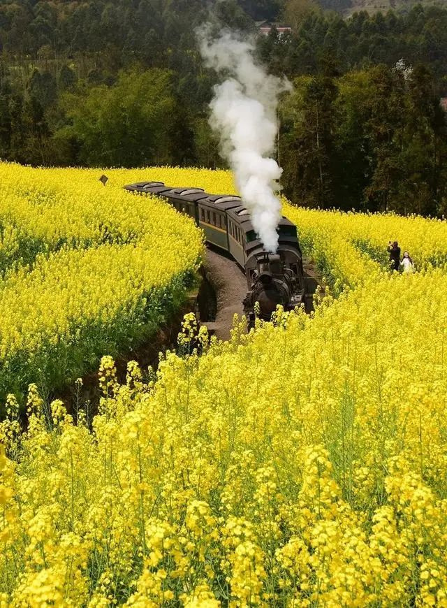 @15طһҲҪȥ