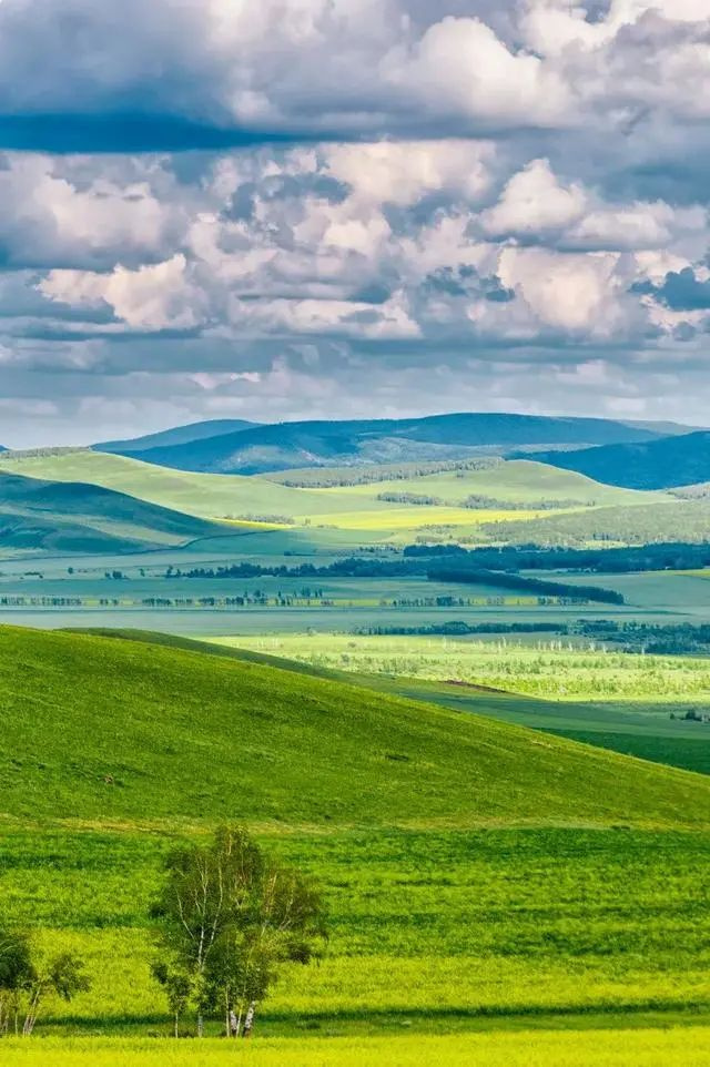 @15طһҲҪȥ