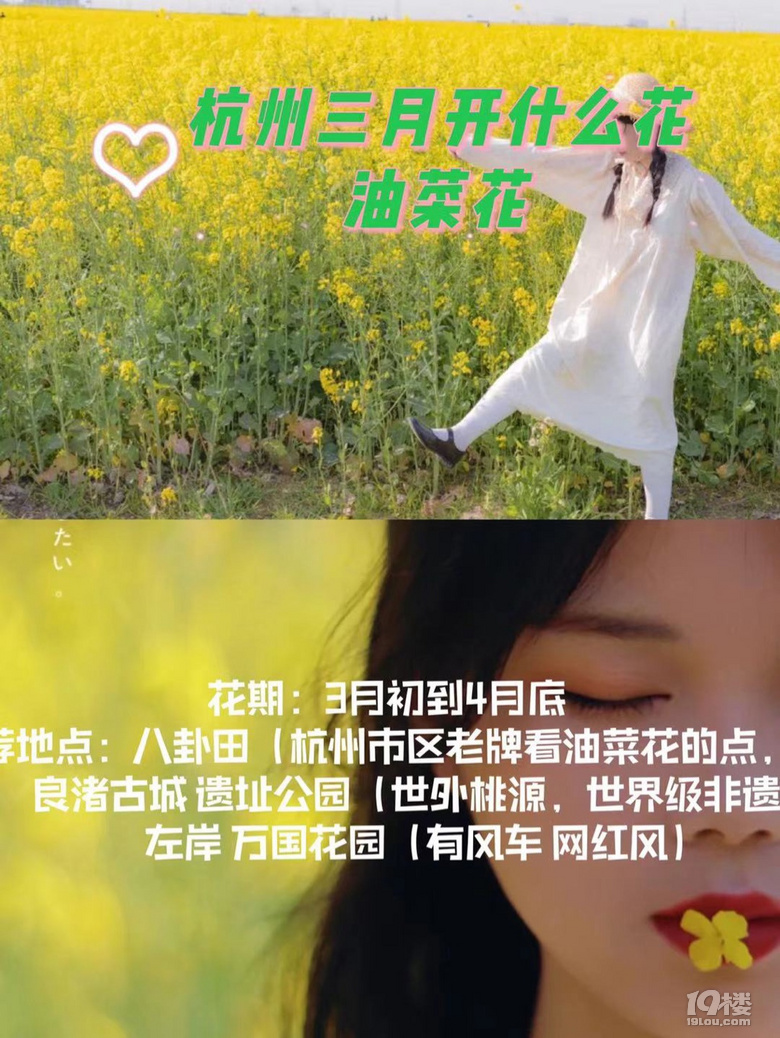 杭州三月Z強(qiáng)賞花大全，錯過又要等一年噢